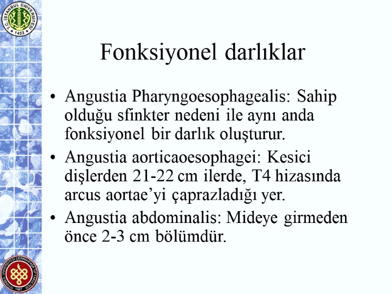 Fonksiyonel darlıklar Angustia Pharyngoesophagealis: Sahip olduğu sfinkter nedeni ile aynı anda fonksiyonel bir darlık